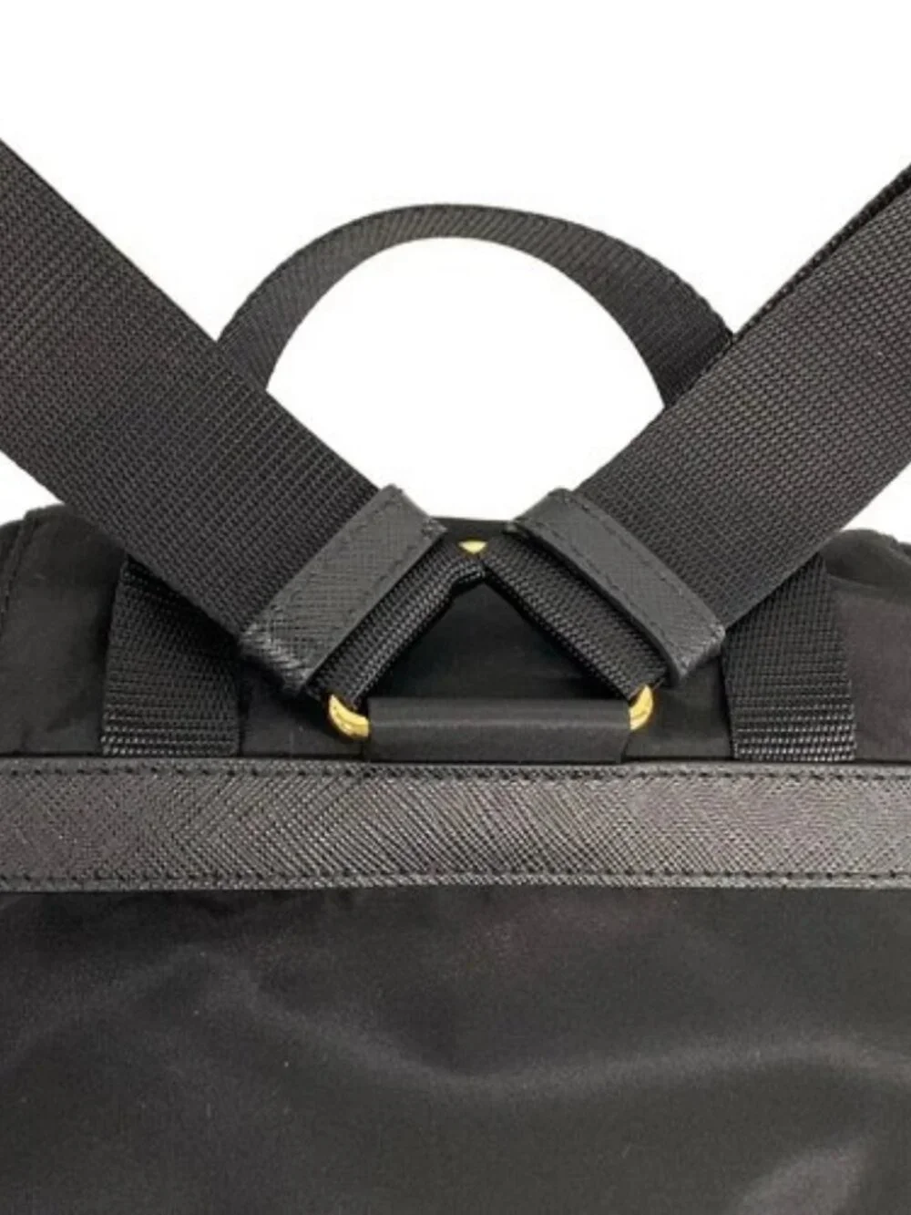 Prada actual colors